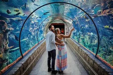 Photo of Shark Reef at Mandalay Bay Hotel and Casino